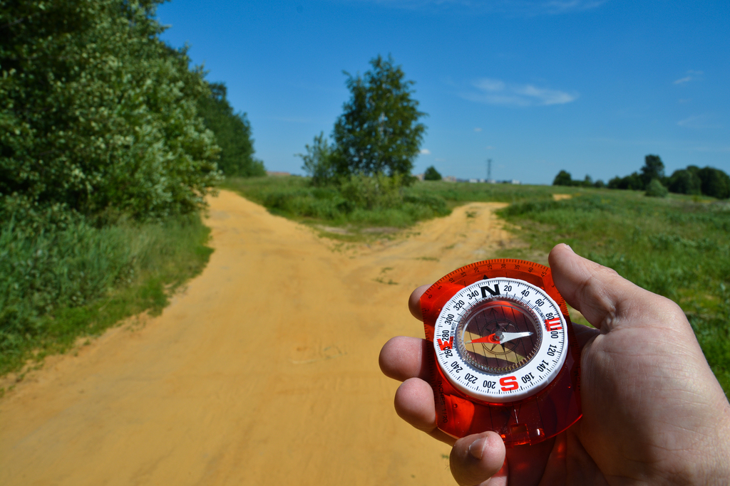 Compassion: Giving A Compass To Your Passion Compassion: Giving A Compass To Your Passion
